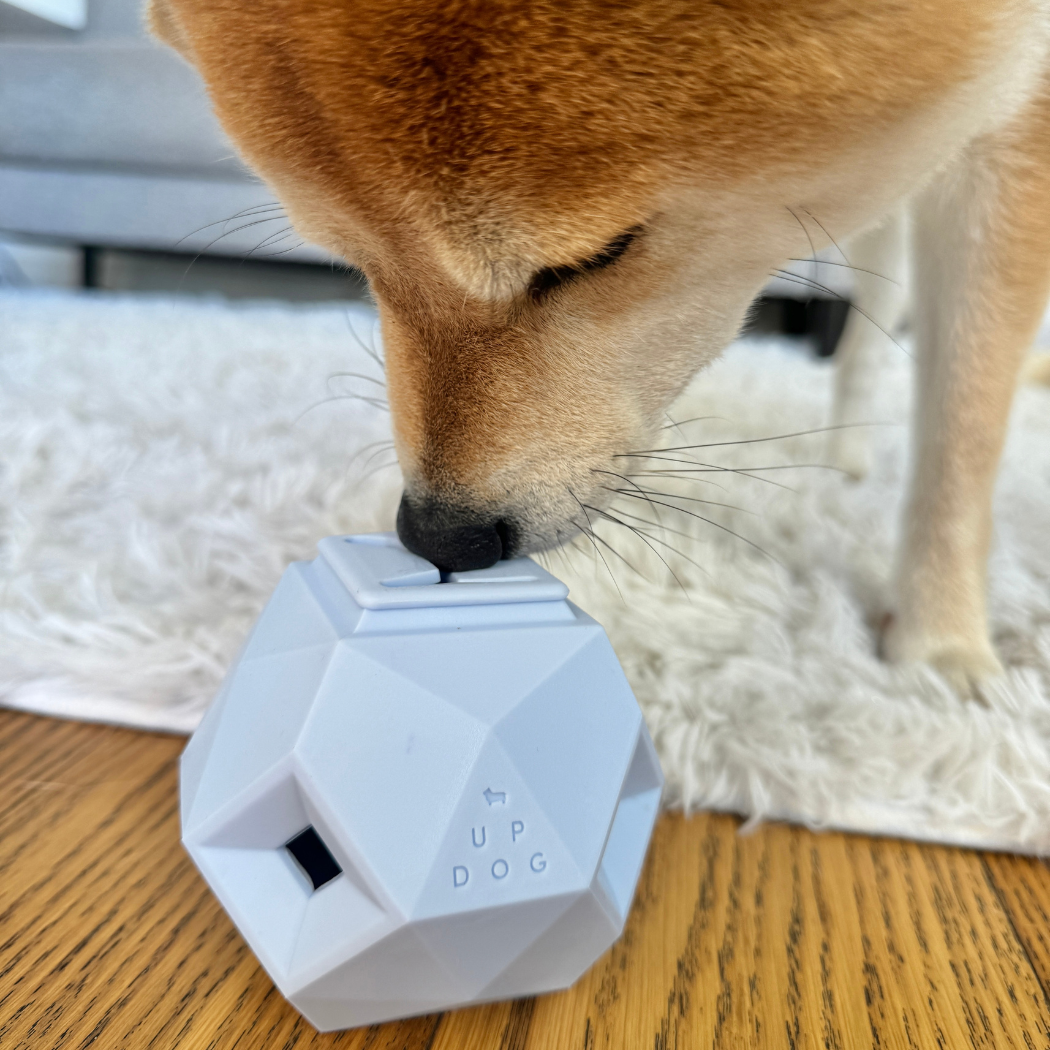 The Odin Dog Treat Dispensing Toy – Interactive Puzzle Feeder