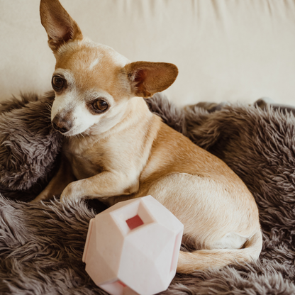The Odin Dog Treat Dispensing Toy – Interactive Puzzle Feeder