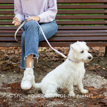 Nina Woof London Dog Collar – Vegan Leather