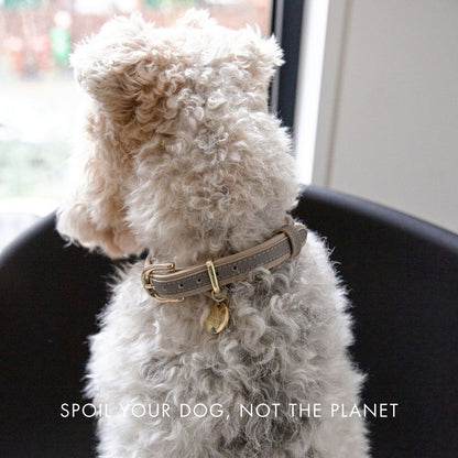 Nina Woof London Dog Collar – Vegan Leather