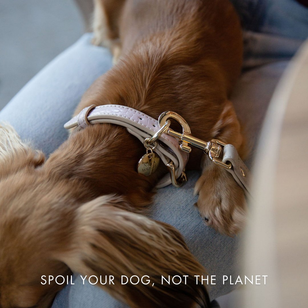 Nina Woof Milan Dog Leash – Vegan Leather, 4ft