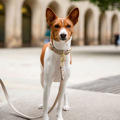 Nina Woof Milan Dog Leash – Vegan Leather, 4ft