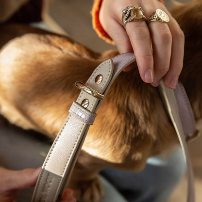 Nina Woof Milan Dog Leash – Vegan Leather, 4ft