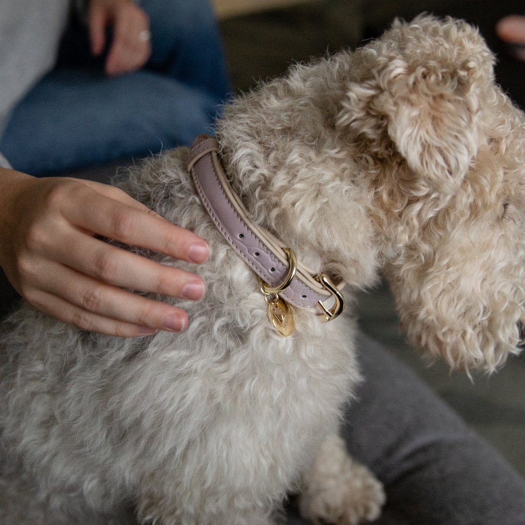 Nina Woof Milan Dog Collar – Vegan Leather