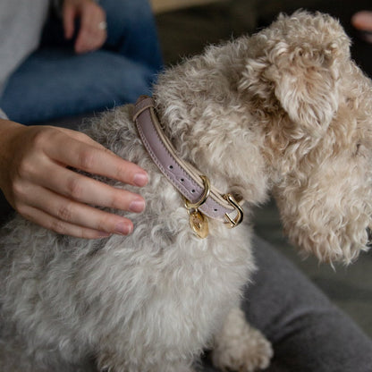 Nina Woof Milan Dog Collar – Vegan Leather