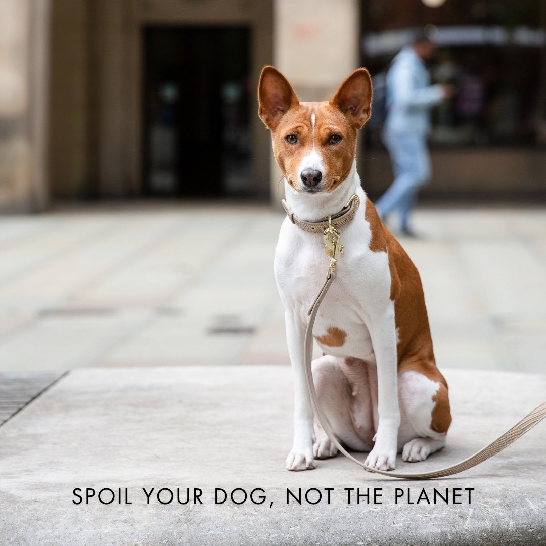 Nina Woof Milan Dog Collar – Vegan Leather