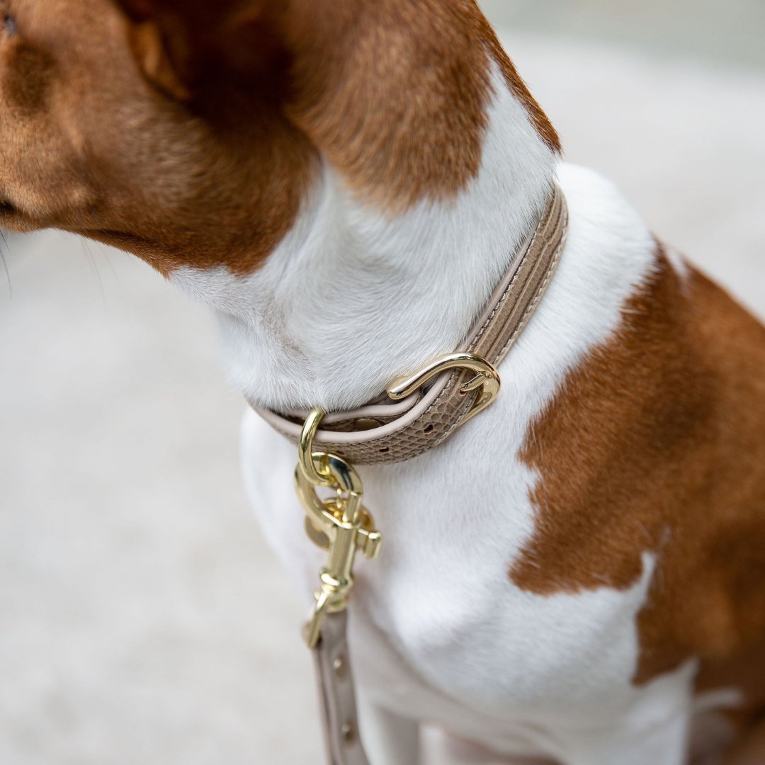 Nina Woof Milan Dog Collar – Vegan Leather