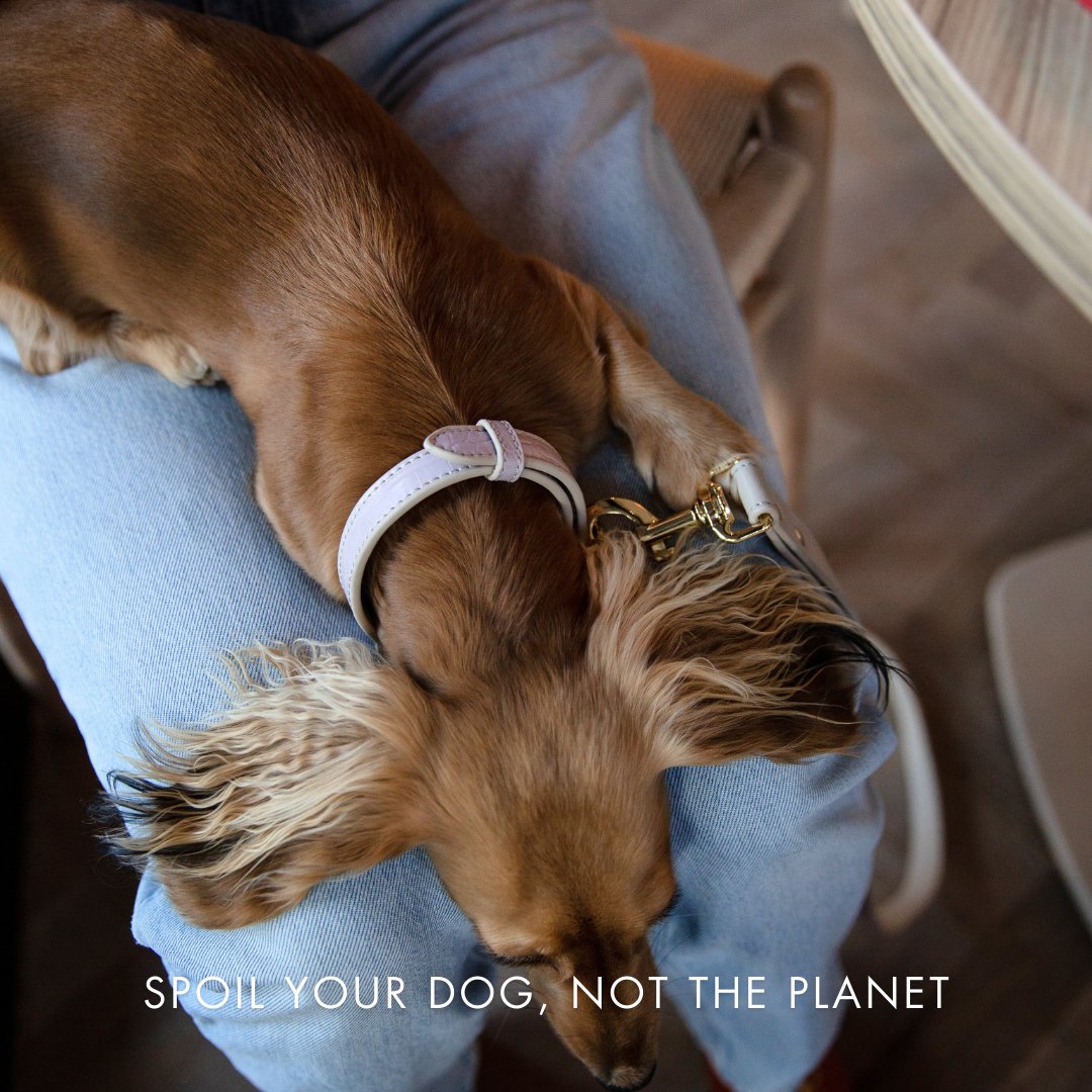 Nina Woof Milan Dog Collar – Vegan Leather