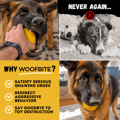 Brute Ball Dog Toy – Heavy-Duty Rubber Ball for Aggressive Chewers