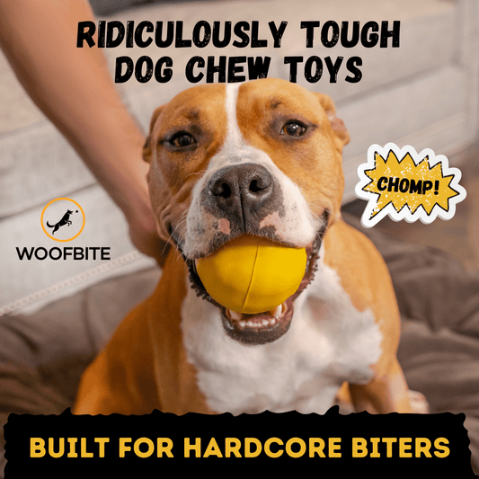Brute Ball Dog Toy – Heavy-Duty Rubber Ball for Aggressive Chewers