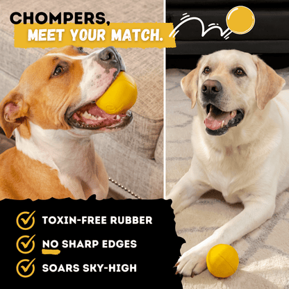 Brute Ball Dog Toy – Heavy-Duty Rubber Ball for Aggressive Chewers