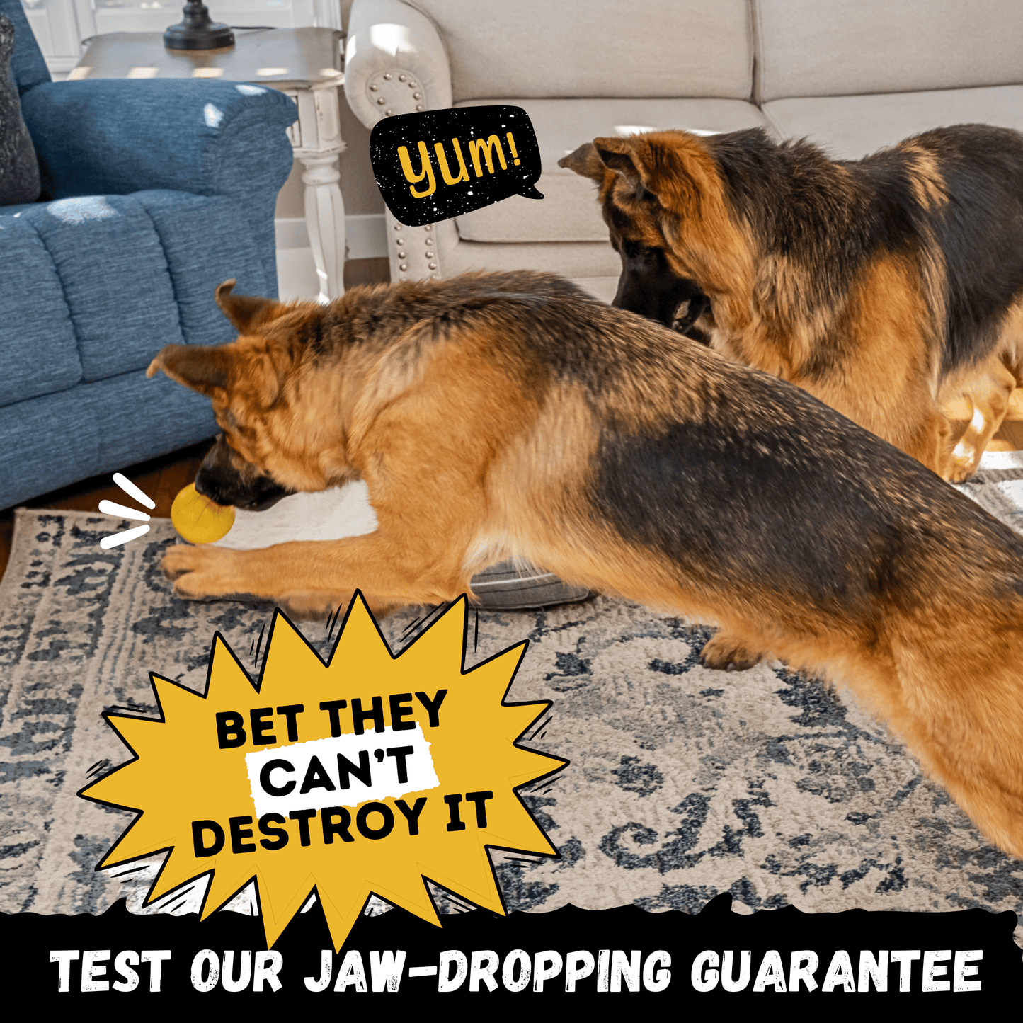 Brute Ball Dog Toy – Heavy-Duty Rubber Ball for Aggressive Chewers