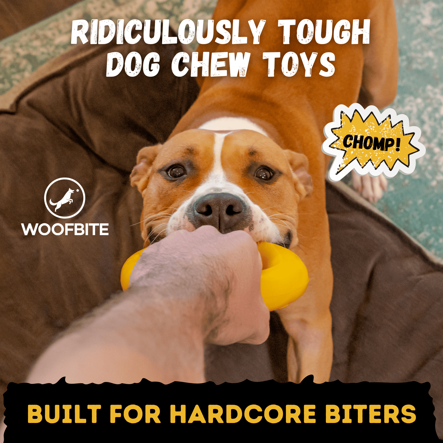 Clutch Ring Dog Toy – Heavy-Duty Rubber Ring for Aggressive Chewers