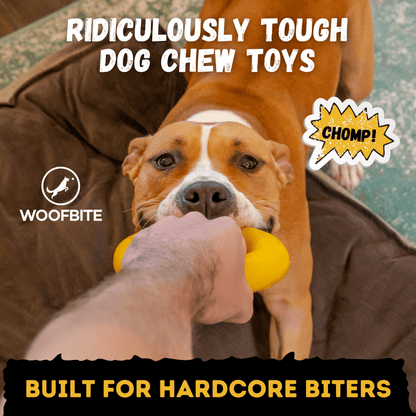 Clutch Ring Dog Toy – Heavy-Duty Rubber Ring for Aggressive Chewers