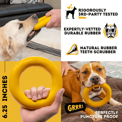 Clutch Ring Dog Toy – Heavy-Duty Rubber Ring for Aggressive Chewers