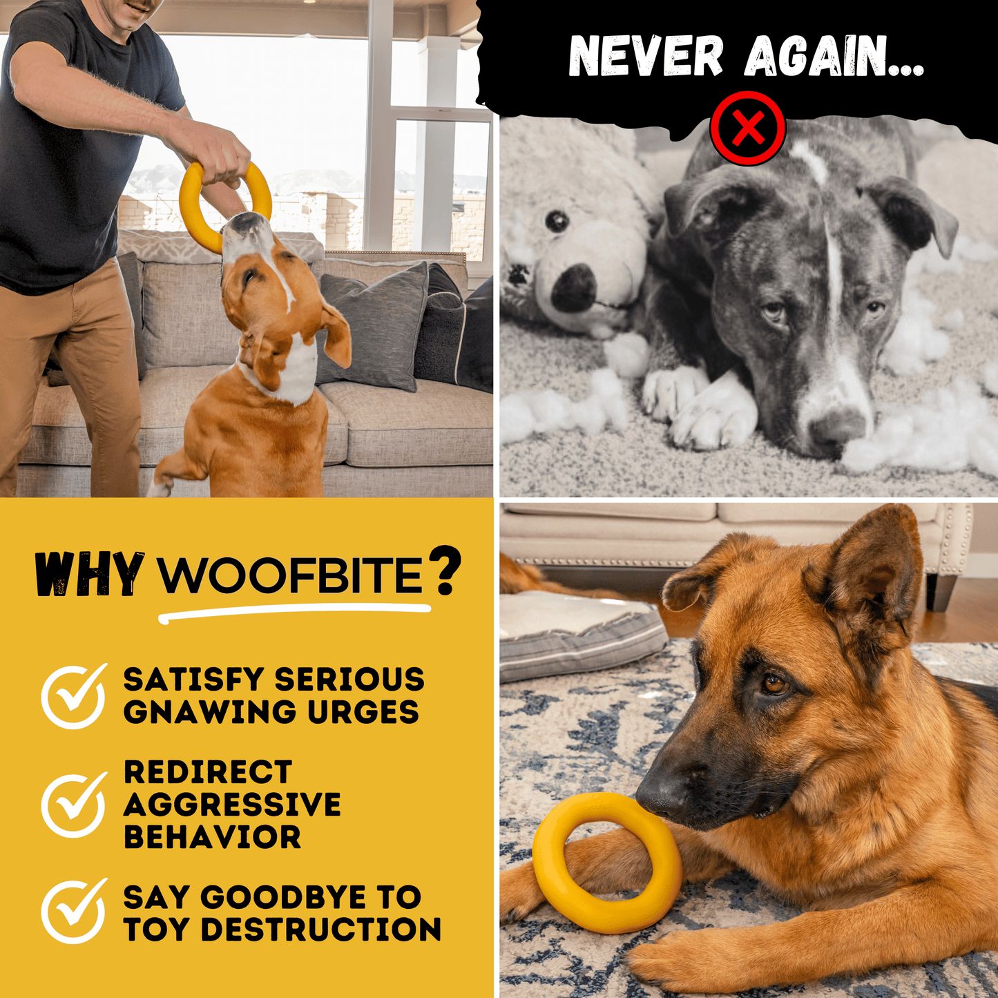 Clutch Ring Dog Toy – Heavy-Duty Rubber Ring for Aggressive Chewers