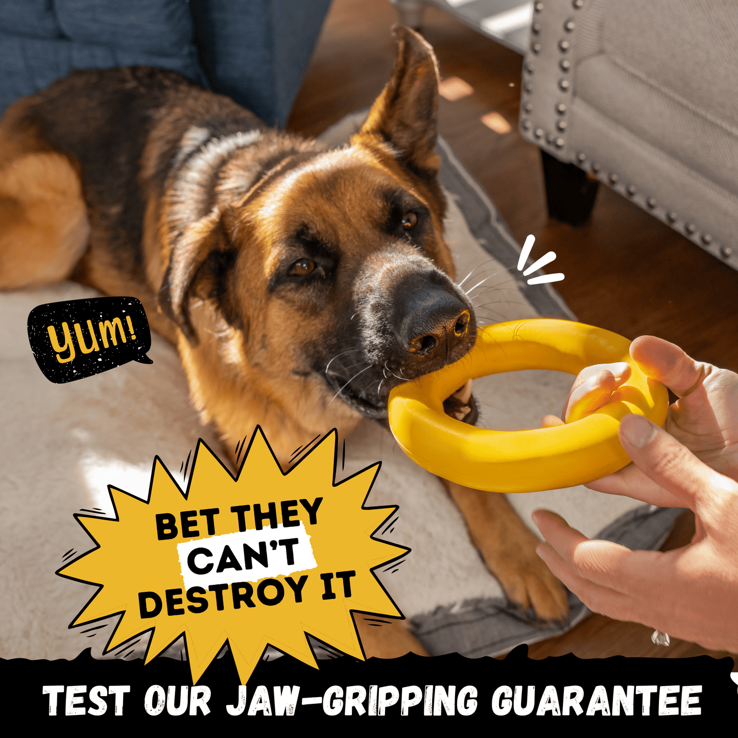 Clutch Ring Dog Toy – Heavy-Duty Rubber Ring for Aggressive Chewers