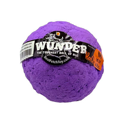 WUNDERball Fetch Toy – Natural Rubber Dog Ball