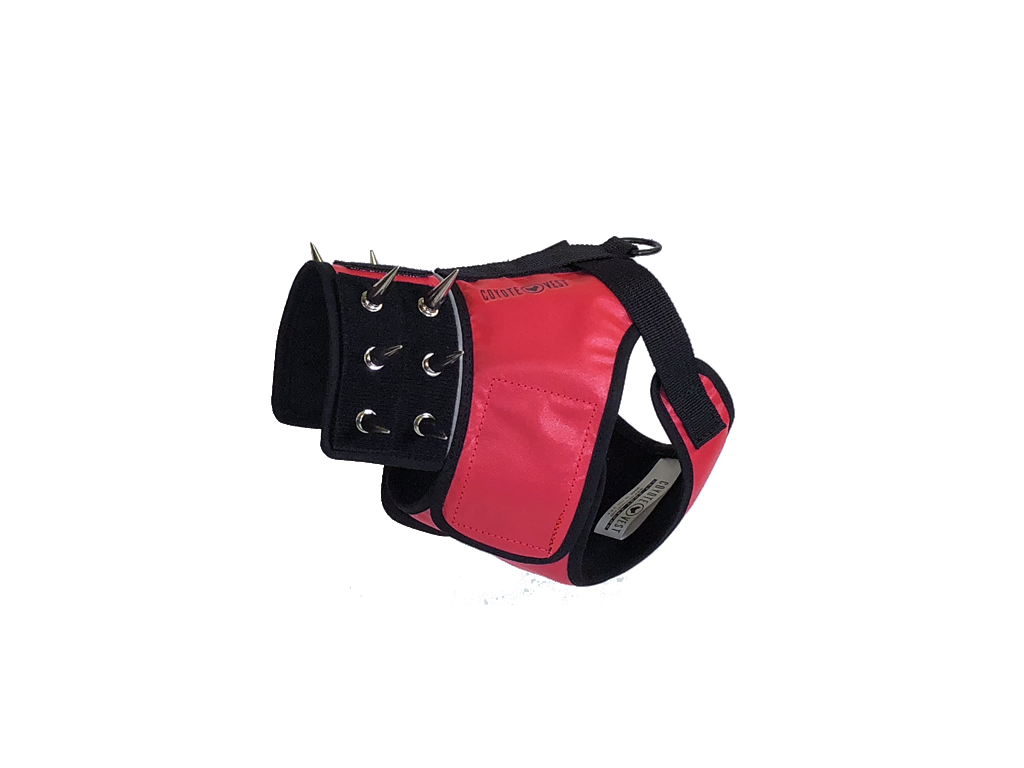 SpikeHarness Dog Harness – Spiked Neck Protection