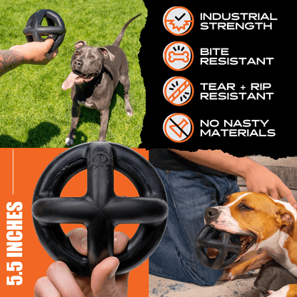 Ring Ball Dog Toy – Tough Rubber Ball for Aggressive Chewers