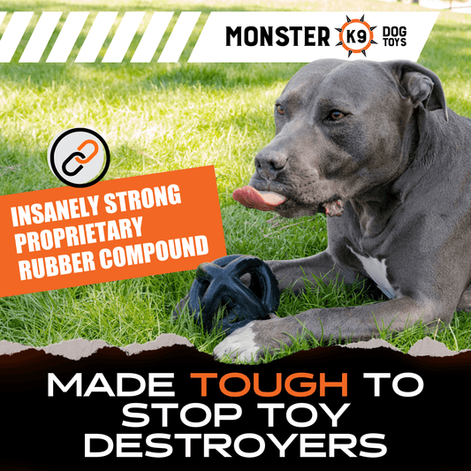 Ring Ball Dog Toy – Tough Rubber Ball for Aggressive Chewers