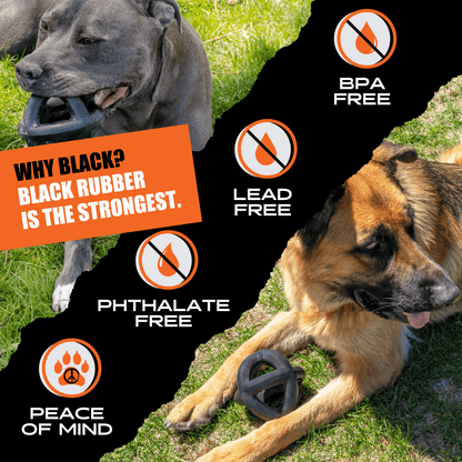 Ring Ball Dog Toy – Tough Rubber Ball for Aggressive Chewers
