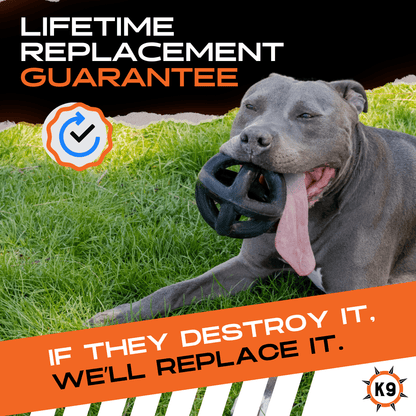 Ring Ball Dog Toy – Tough Rubber Ball for Aggressive Chewers
