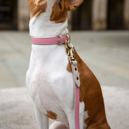 Nina Woof Rio Dog Leash – Vegan Leather, 4ft