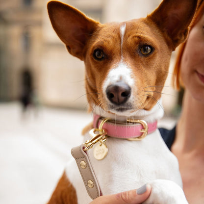 Nina Woof Rio Dog Collar – Vegan Leather