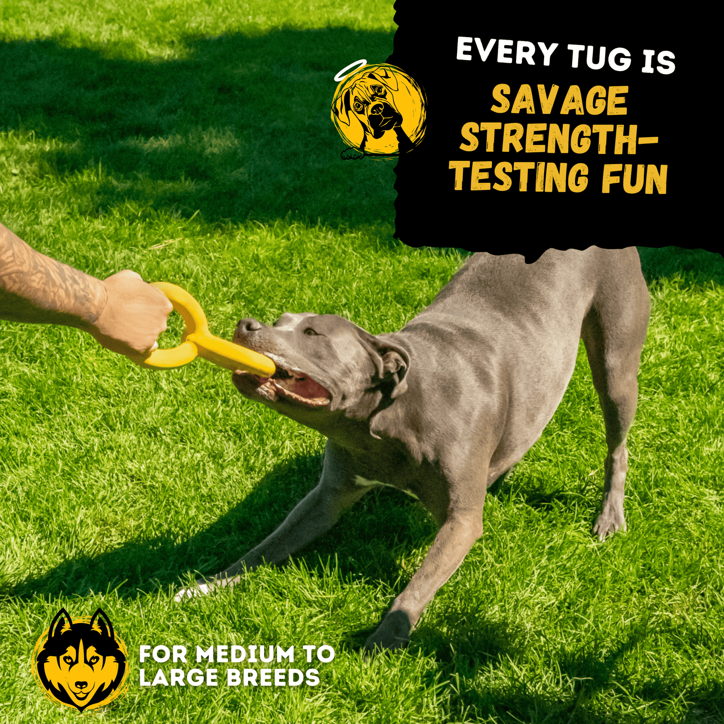 Tug Chain Dog Toy – Heavy-Duty Rubber Tug Toy for Aggressive Chewers