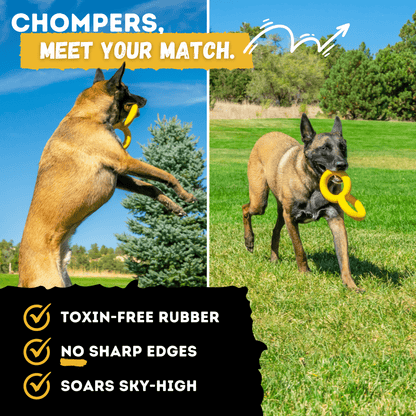 Tug Chain Dog Toy – Heavy-Duty Rubber Tug Toy for Aggressive Chewers