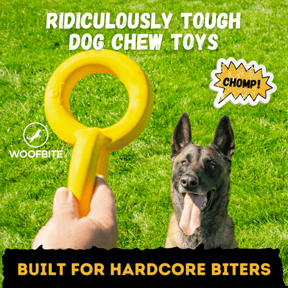 Tug Chain Dog Toy – Heavy-Duty Rubber Tug Toy for Aggressive Chewers