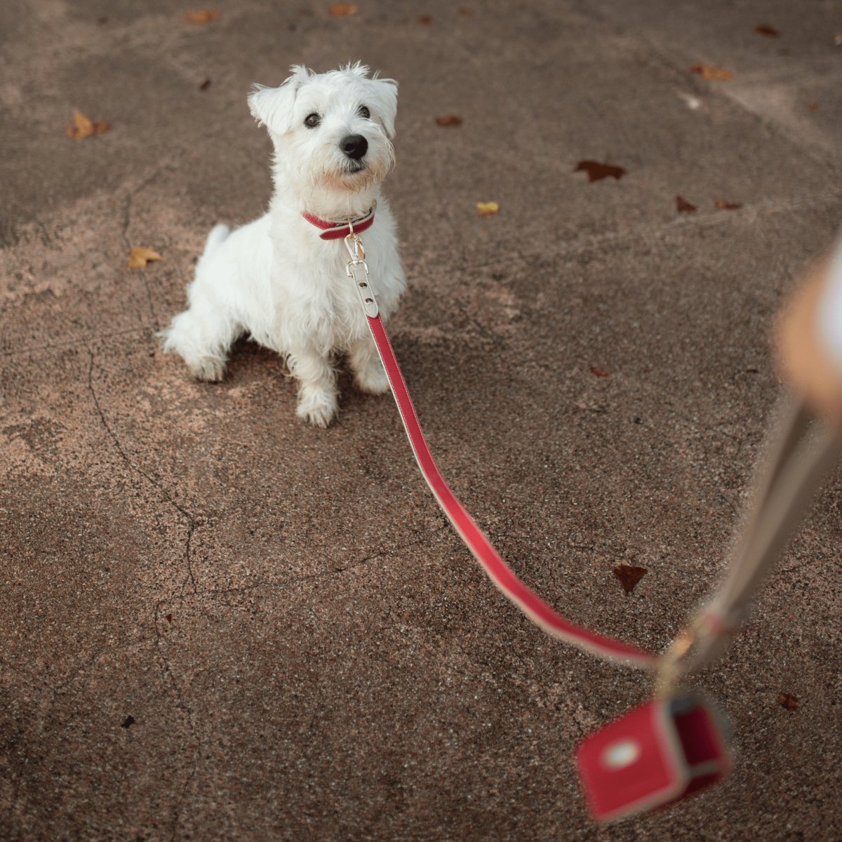 Nina Woof Vegan Leather Waste Bag Holder